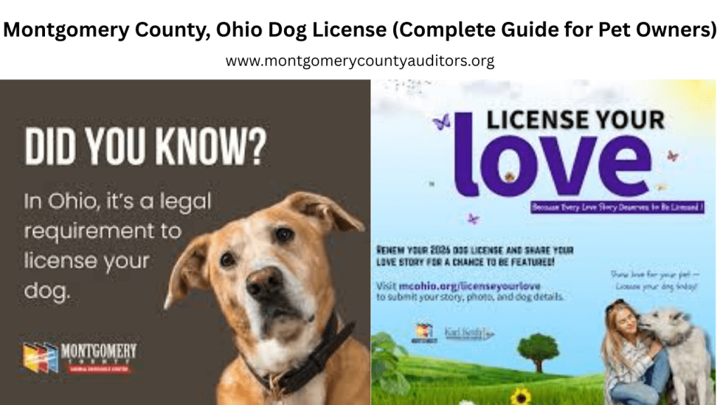 Dog license complete guide